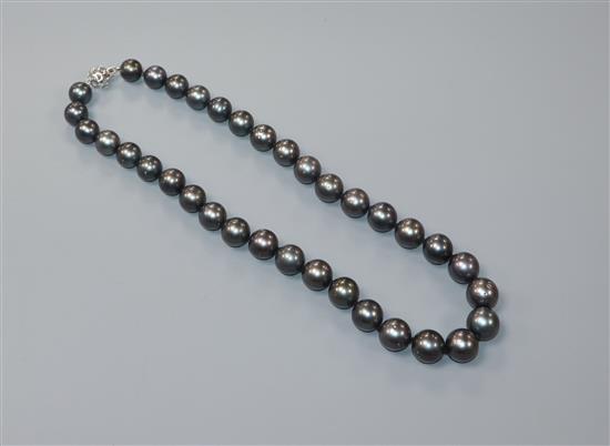 A single strand cultured Tahitian cultured pearl necklace, with 585 pierced white metal clasp, 44cm.